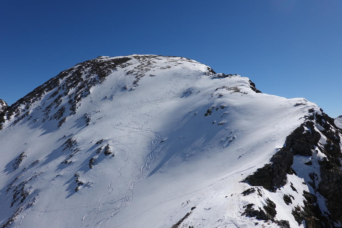 x1200-2021.02.27-rx100m6_5893.jpg